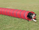 Dog Agility 6